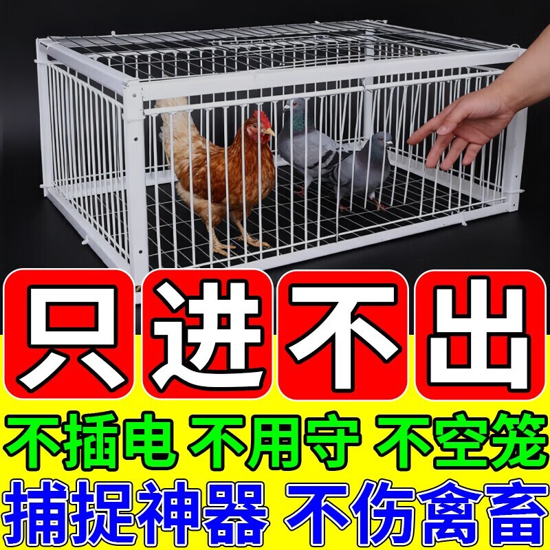 天落笼捕天落神器只进不出收鸽器户外加密粗防锈自动连续进鸽子笼图片