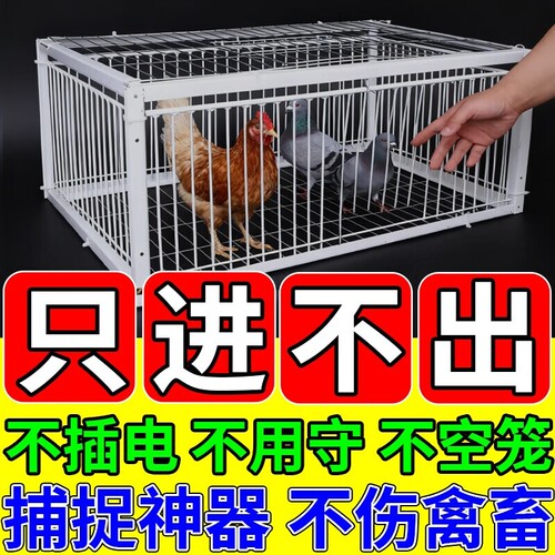 天落笼捕天落神器只进不出收鸽器户外加密粗防锈自动连续进鸽子笼