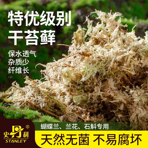 史丹利水苔蝴蝶兰专用土干苔藓