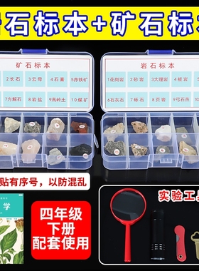 四年级科学下册矿石岩石标本与矿物盒装科学课石头土壤实验套装花岗岩地质教学教具云母采集五色土观察化石