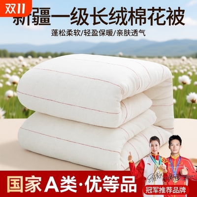 新疆一级长绒棉被纯棉花被子被芯冬被棉絮床垫被褥子铺底全棉手工
