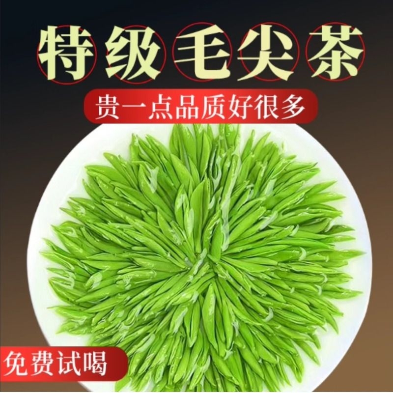 明前特级信阳毛尖|118人收藏