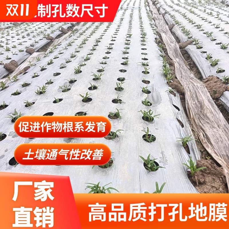 农用种植打孔地膜黑膜防草菜地玉米开孔带孔薄膜银黑地膜免打孔膜