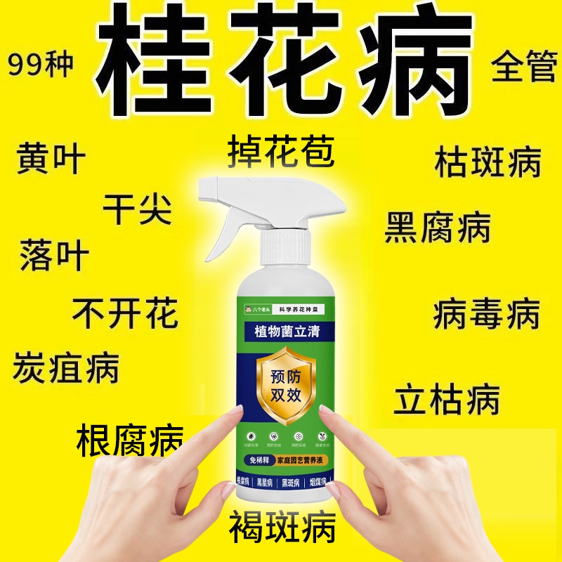 桂花枯叶病黄叶焦叶斑复活促开茶花催花剂座果灵树专用营养液种菜