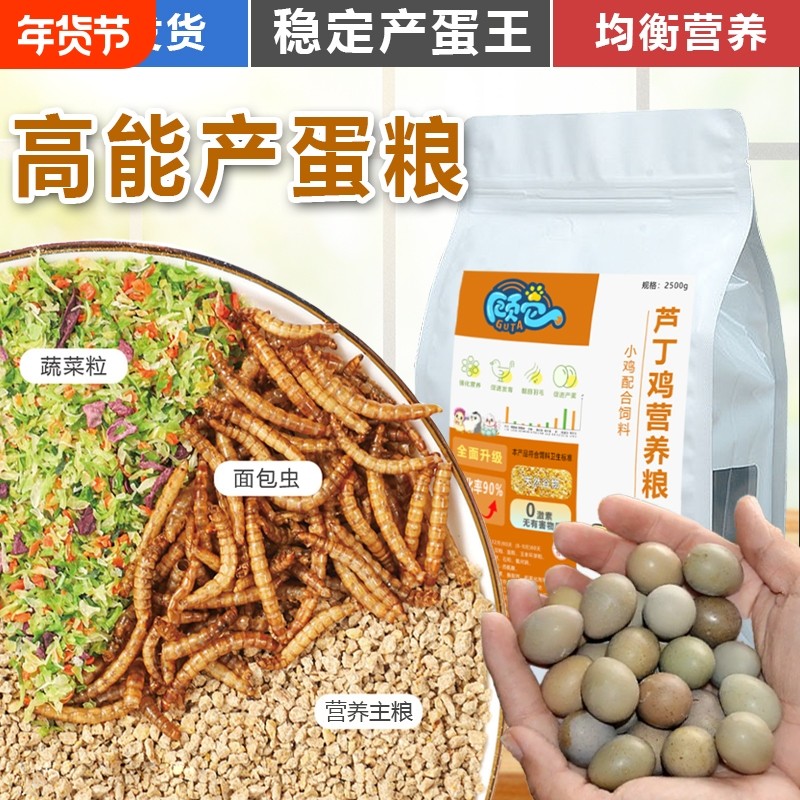 芦丁鸡饲料产蛋育雏专用粮食高蛋白混合营养小鸡粮面包虫宠物鸡粮,宠物/宠物食品及用品,鸟食,淘宝优惠券,粉丝福利购,淘宝优惠卷