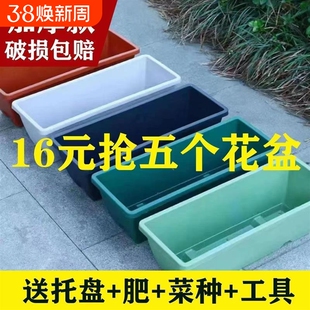 长方形盆花盆阳台种菜专用盆霍伦草莓蔬菜种植箱塑料特价清仓室外