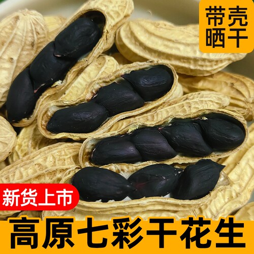 云南新鲜晒干黑花生富硒黑花生新货晒干黑花生带壳农家种植5斤