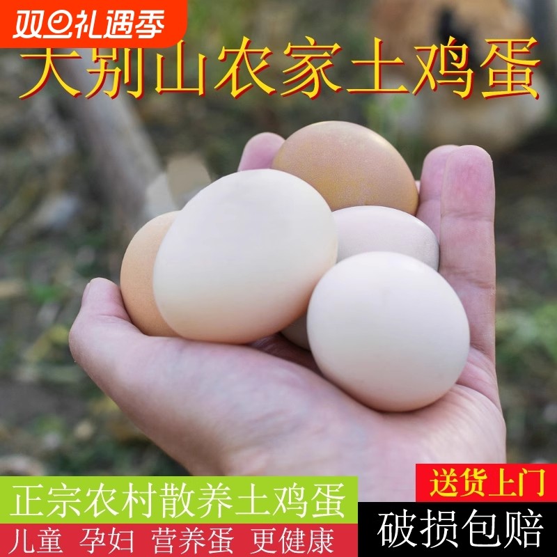 农家土鸡蛋散养湖北大别山谷物蛋50g儿童老人新鲜鸡蛋农村配送