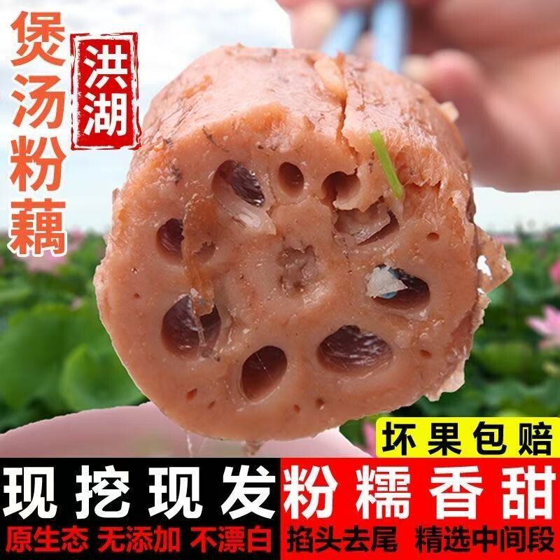 洪湖莲藕九孔粉藕煲汤