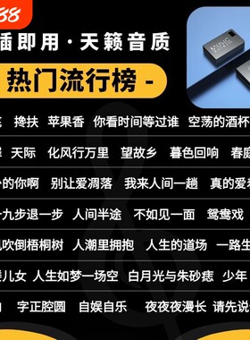 车载音乐U盘无损WAV热门抖音精选新歌流行DJ高音质MP3车用高速