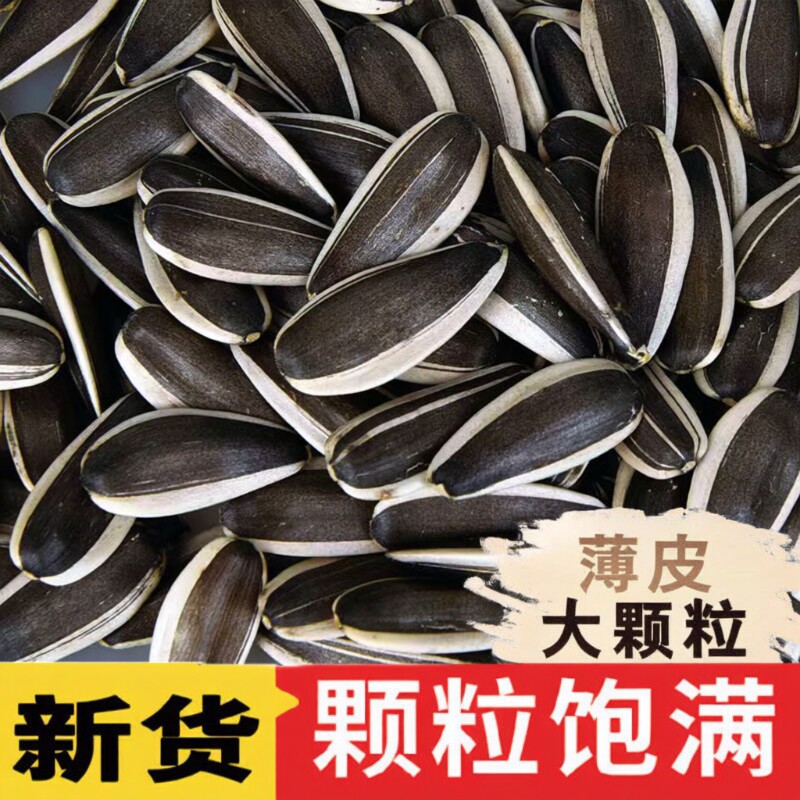内蒙古大颗粒原味生瓜子零食批发5斤装炒货新货款生葵花籽2026年