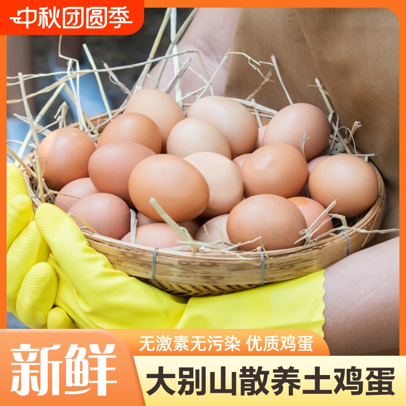 散养土鸡蛋农村新鲜谷物蛋高蛋白