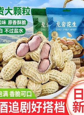 龙岩花生蒜香味五香味花生米带壳炒货解馋小零食下酒菜熟花生特产