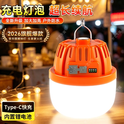【户外露营应急】led充电照明灯