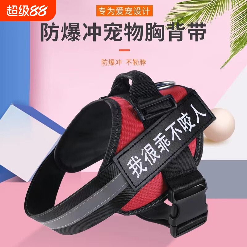 狗狗牵引绳四季通用可调节图片