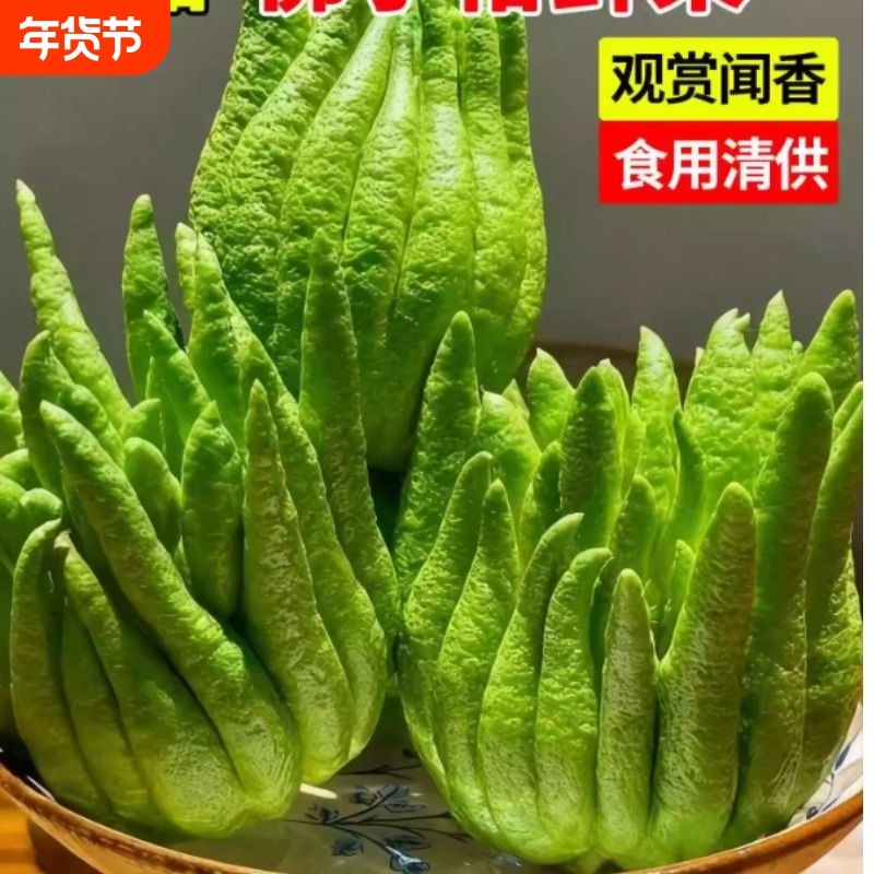云南佛手柑现采现发佛手果观赏花束插花香鲜切花材食用把玩,鲜花速递/花卉仿真/绿植园艺,花材,淘宝优惠券,粉丝福利购,淘宝优惠卷