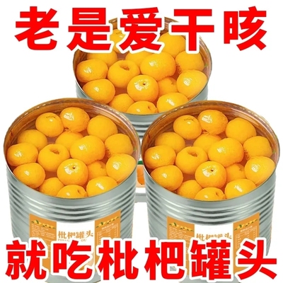 新鲜枇杷罐头水果大罐商用糖水