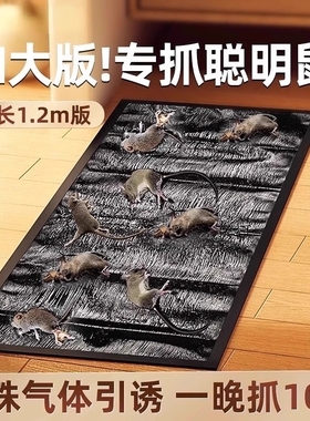老鼠贴强力粘鼠板家用一窝端抓粘大老鼠胶正品魔毯驱捕鼠神器超强