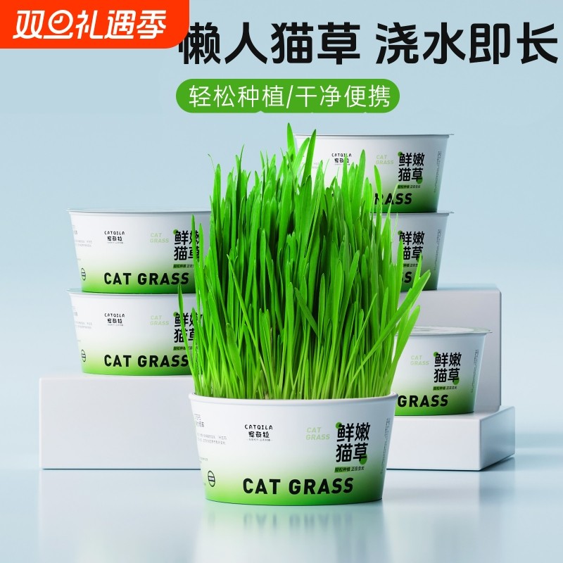 懒人种植猫草泡面杯盆栽土培盒吐毛球化毛猫咪零食用品水培泡面猫