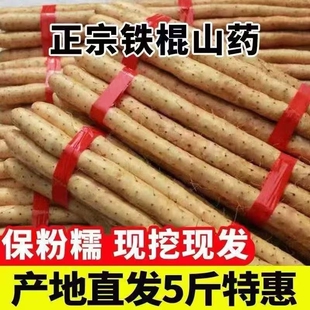 铁棍山药正宗新鲜铁杆怀山淮山药现挖小白嘴山药非温县垆土铁棍