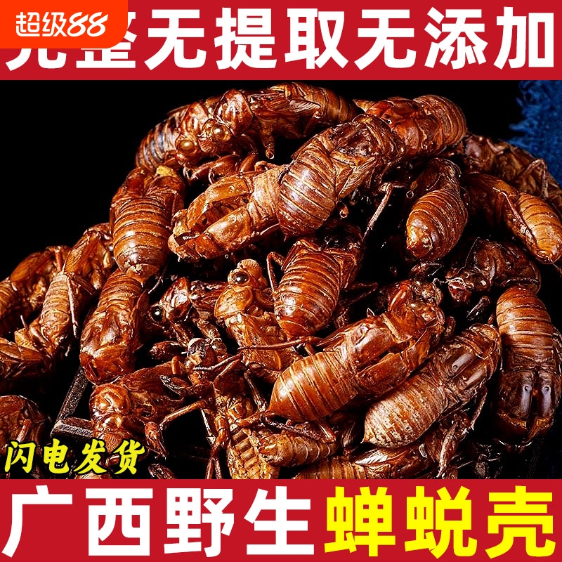 广西野生蝉蜕中药材金蝉衣 知了壳 脱壳皮金蝉壳 蝉皮 蝉退壳蝉衣
