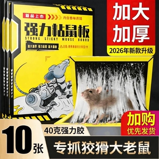 老鼠粘强力粘鼠板大老鼠贴超强家用黏沾捕鼠器神器捉扑新款仓库