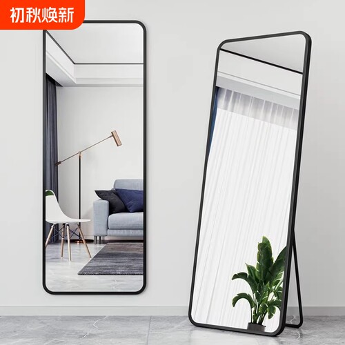 简约玻璃全身试衣大镜子