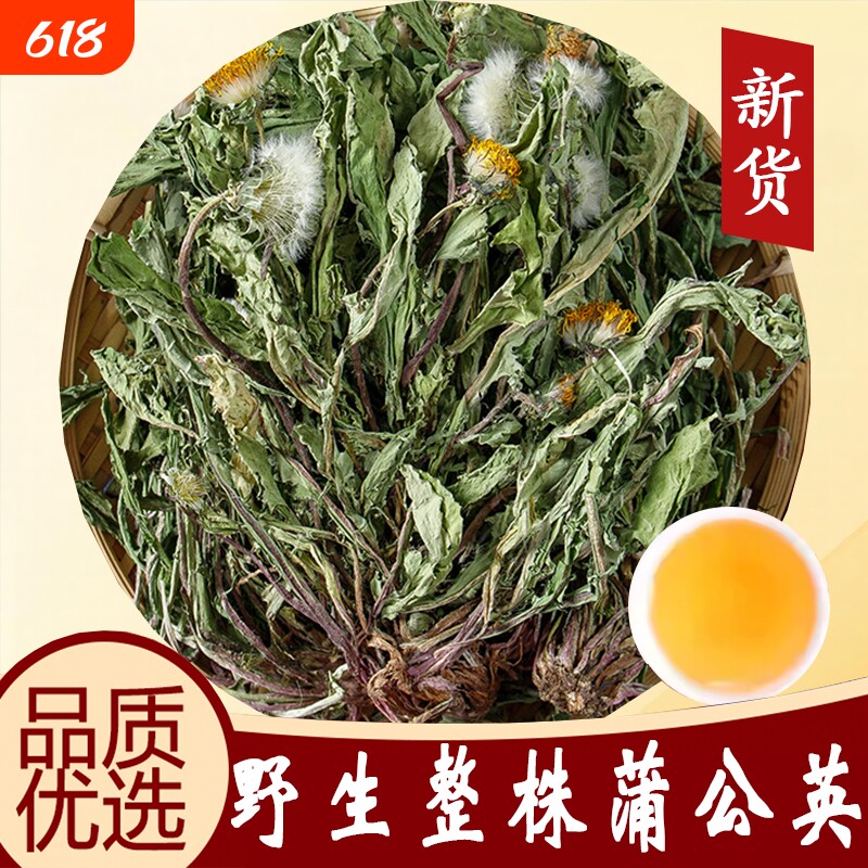 蒲公英纯野生正品官方旗舰店中药材新鲜干草天然野生整颗茶泡水喝