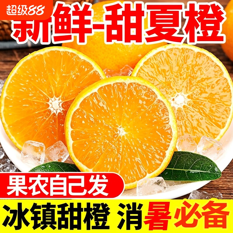 正宗湖南江永夏橙新鲜当季水果现摘晚熟榨汁手剥橙子大果整箱甜橙 - 实物图