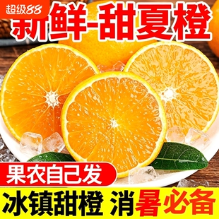 正宗湖南江永夏橙新鲜当季水果现摘晚熟榨汁手剥橙子大果整箱甜橙