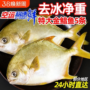 金鲳鱼特大鲳鱼海鱼金昌鱼平鱼银鱼鳊鱼鲜活新鲜冷冻冰鲜顺丰水产