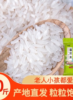 南方大米丝苗米10斤/20斤当季新米晚稻米猫牙香米长粒家用米饭