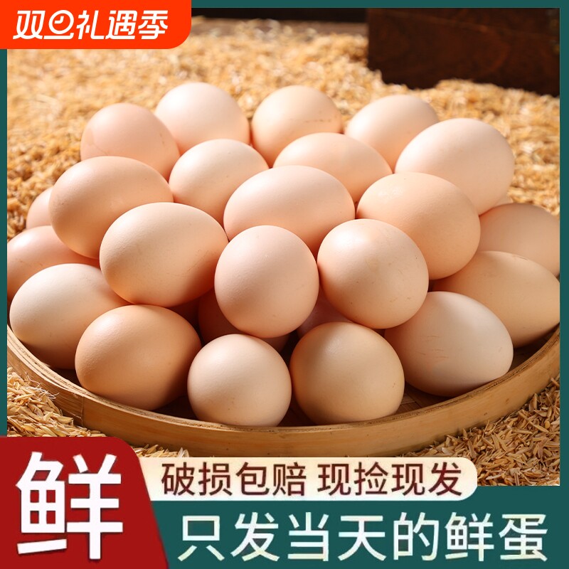 农家自养土鸡蛋30枚粉壳鸡蛋散养谷物鸡蛋柴鸡蛋50枚初生蛋