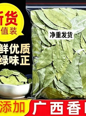 广西香叶香料天然月桂叶卤料调料商用可粉料桂皮八角优质新鲜丁香
