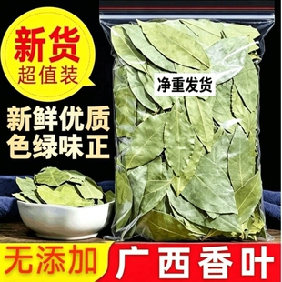 广西香叶香料天然月桂叶卤料调料商用可粉料桂皮八角优质新鲜丁香