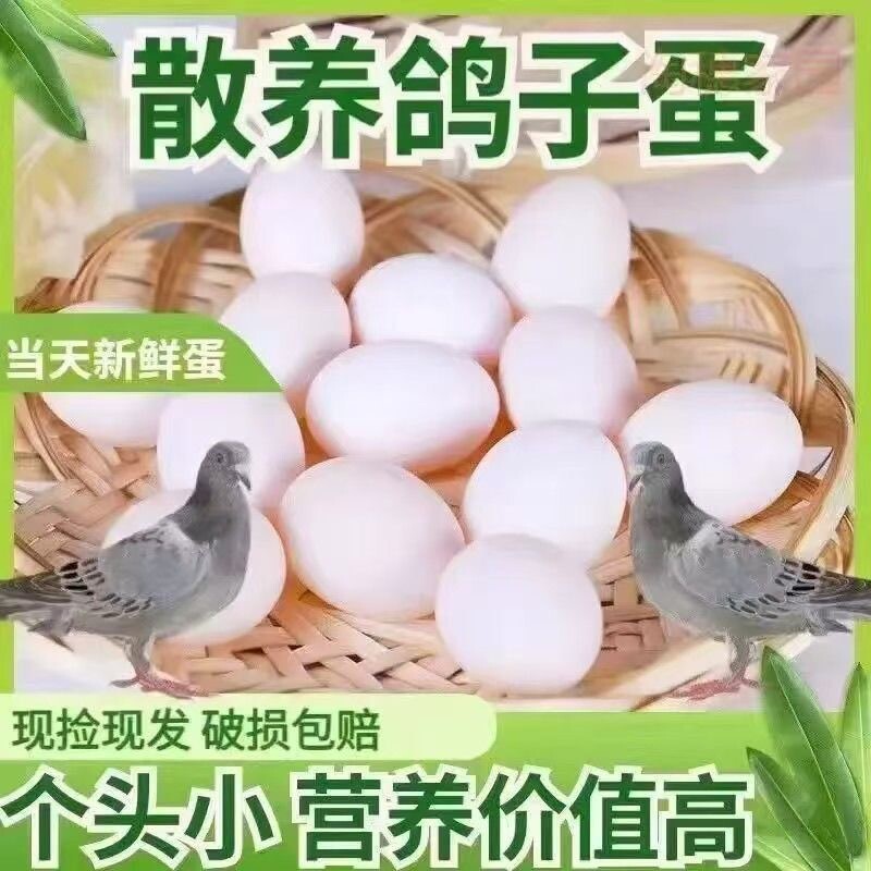 鸽子蛋老家新鲜农家精选散养草 原粮喂养孕妇宝宝营养生鲜 30枚装