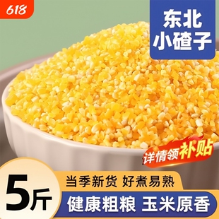 东北玉米碴子小碴子粥粘玉米糁细小玉米粒黏笨苞米碎粒农家自产