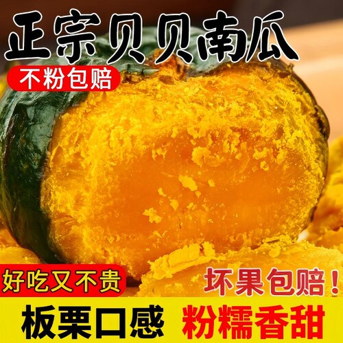 正宗贝贝南瓜新鲜水果蔬菜板栗味小南瓜栗面老瓜宝宝孕妇粉糯早餐