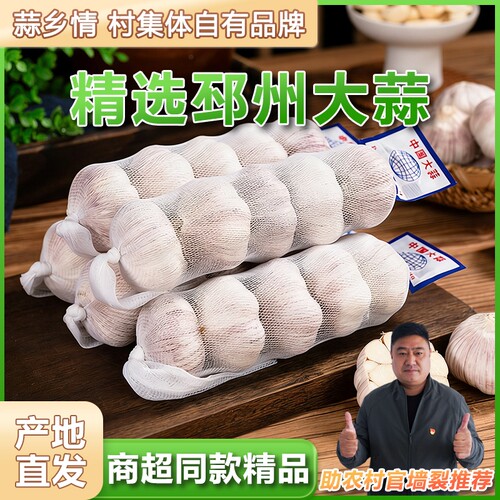 产地直发邳州净蒜 商超同款调味大蒜头网兜条装多瓣大蒜新鲜特大