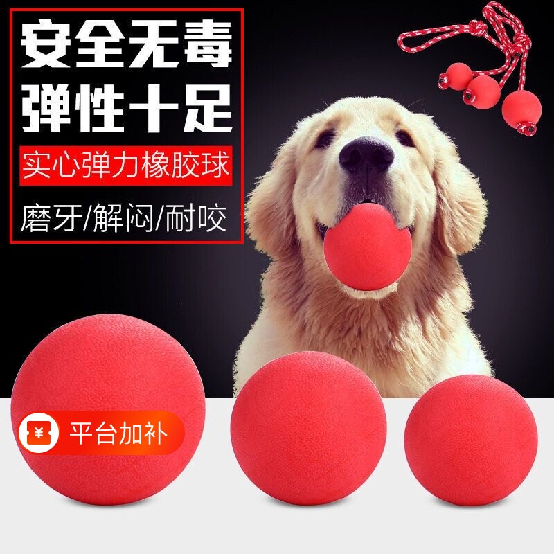 狗狗玩具弹力球耐咬tpr橡胶实心狗狗用品宠物球球大中小型犬解闷
