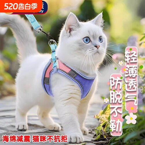 猫宠达人推荐！猫咪牵引绳溜猫绳