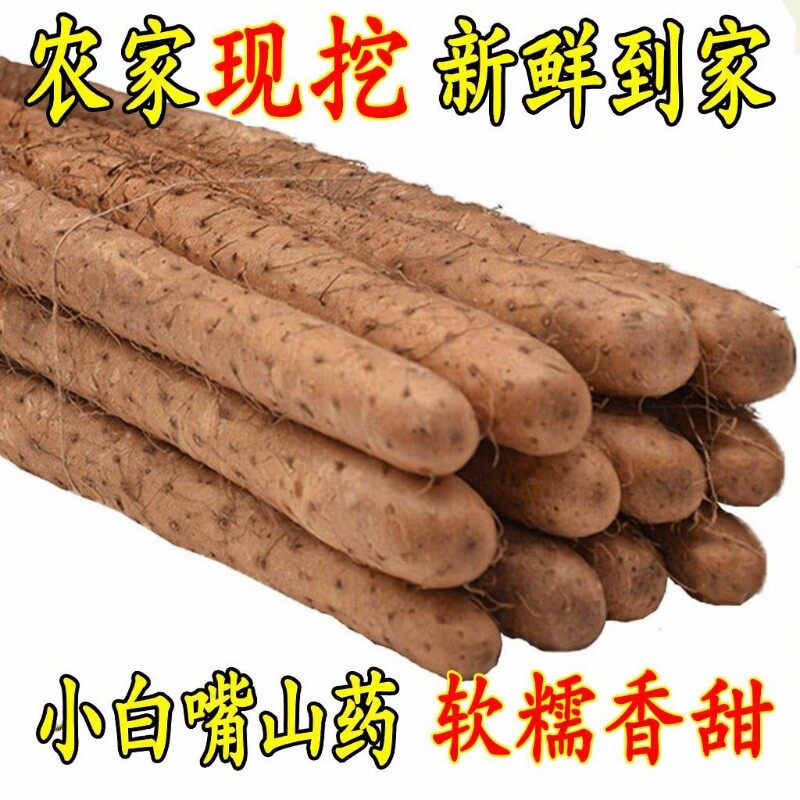 正宗新鲜铁棍山药小白嘴山药农家现挖淮山药软糯香甜精选5斤装