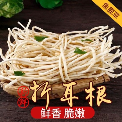新鲜鱼腥草根 现挖折耳根 凉拌节节根 时令野菜火锅食材 一份包邮