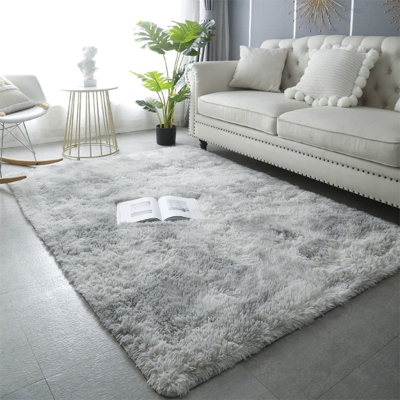 加厚丝毛客厅卧室飘窗少女床边房间大面积地毯地垫沙发可机洗地板