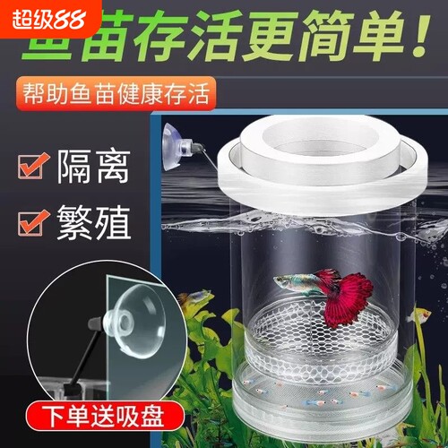 小鱼总被吃？换这个高存活防逃逸