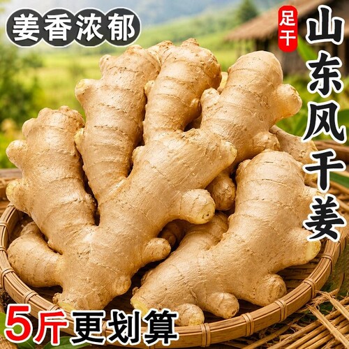 1斤1袋易存储山东大姜风干生姜