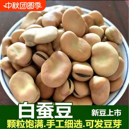 白蚕豆50g干货生大粒生干蚕豆特产胡豆生蚕豆农家佛豆生白皮