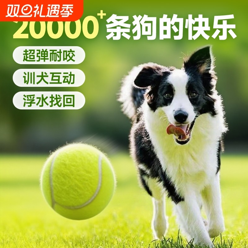 狗狗玩具球金毛弹力球耐咬磨牙网球宠物幼犬拉布拉多小狗训练橡胶