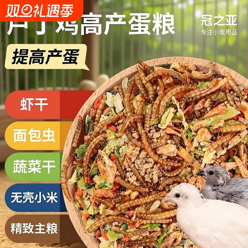 芦丁鸡粮食产蛋饲料专用下蛋粮卢丁鸡小鸡幼鸡开口育雏食物零食