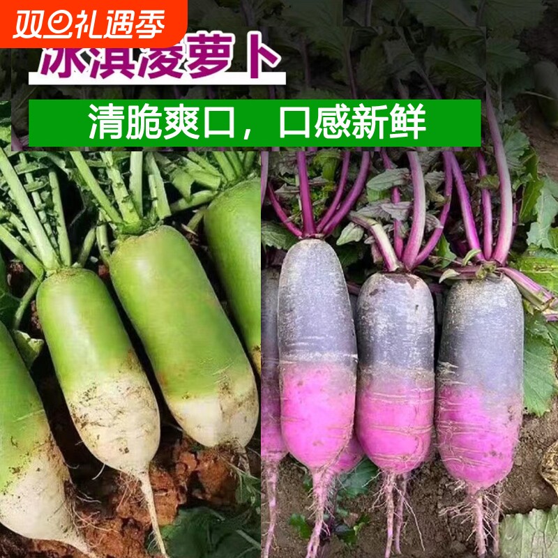 冰激凌萝卜糖心萝卜清脆爽口